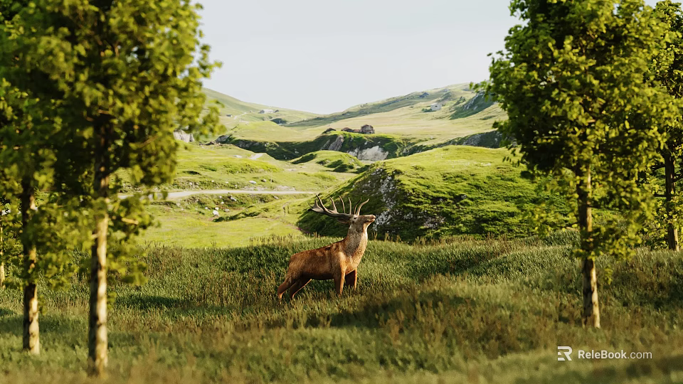 Red Deer Stag Standing In Green Meadow With Trees And Rolling Hills 3d model 