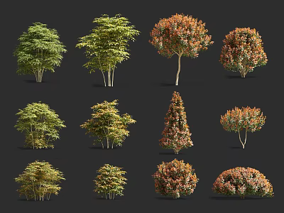 Twelve Different Types of Bushes Showcasing Various Colors and Shapes 3d model