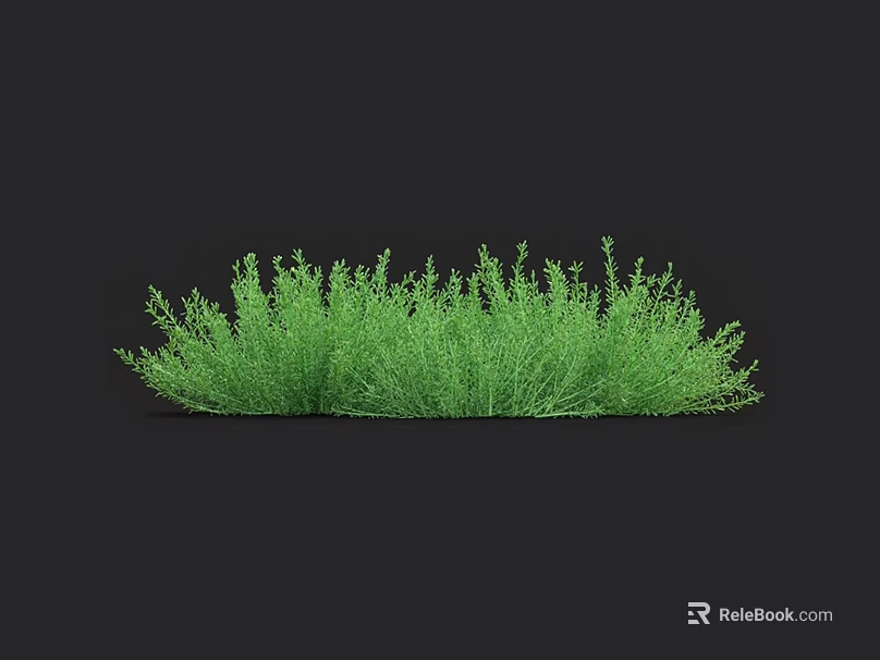 Lush Patch Of Green Grass With Dense Foliage Against Black Background 3d model 