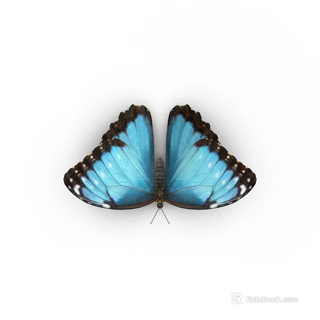 Beautiful Blue Butterfly With Vibrant Wings And Detailed Patterns As Flying Insect 3d model 