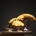 Green Bonsai Plants In Brown Container With White Decorative Rocks And Dark Background