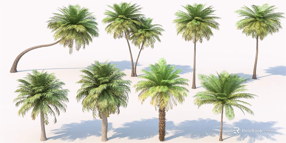 Multiple Palm Trees With Varying Heights And Green Fronds On White Background 3d model 
