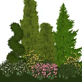 Tall Evergreen Arbor Trees in Garden with Colorful Flowers and Shrubs