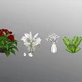 Various Decorative Flowers in Clear Vases with Red White Blooms and Green Foliage