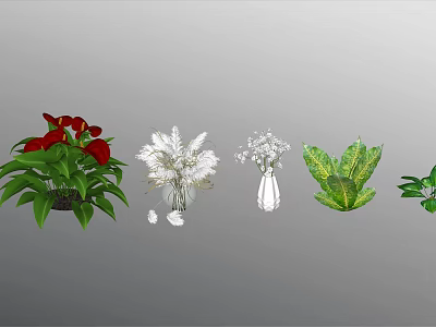 Various Decorative Flowers in Clear Vases with Red White Blooms and Green Foliage 3d model