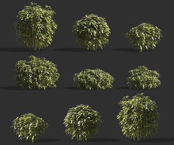 Modern flowering green wood cherry peach leaf shrub plant combination shrub hedge plant combination peach leaf coral shrub hedge plant 3d model