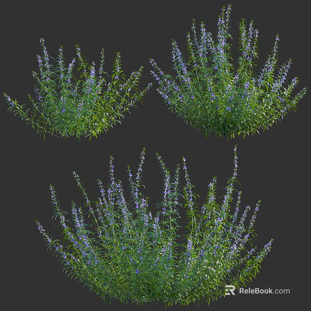 Clustered Lush Green Plants With Vibrant Purple Flowers For Garden Decoration 3d model 