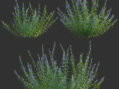 Clustered Lush Green Plants With Vibrant Purple Flowers For Garden Decoration 3d model