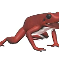 Red Aquatic Frog Displaying Open Mouth In Natural Grass Habitat