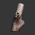 Natural Plant Wooden Stump with Smooth Texture and Irregular Shape as Decorative Element