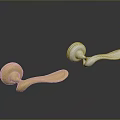 Elegant Modern Metal Door Handles In Gold And Silver With Smooth Finish