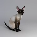 Siamese Cat Sitting Position 3D Model With Detailed Fur And Alert Expression 3d model
