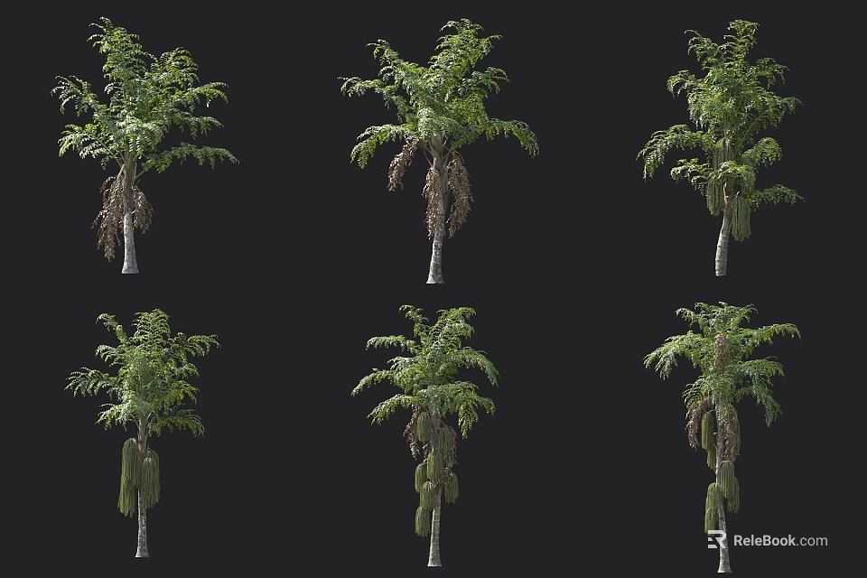 Six Green Arbor Trees In Different Poses With Lush Foliage And Trunks 3d model