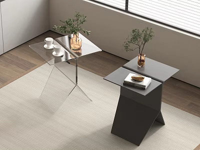 Modern Interior With Glass And Dark Side Tables Decorated With Plants Cups And Books 3d model