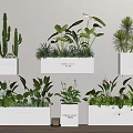 Indoor Green Plants With Various Flowers In Black White Pots Wall Mounted And Floor Placed