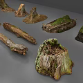 Natural Stone And Wood Elements Including Logs Stumps With Mossy Details