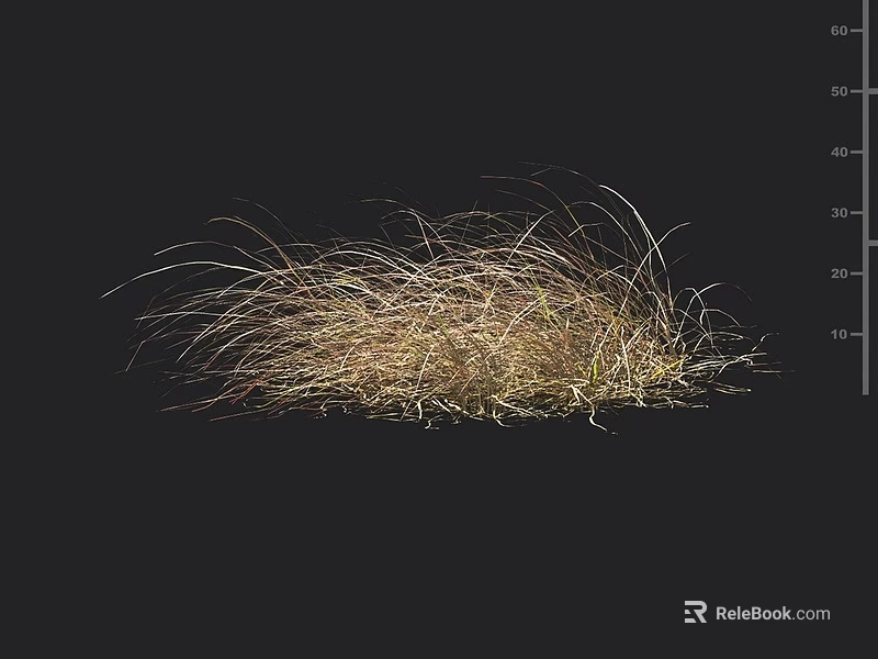 Natural Dried Grass Cluster With Wispy Light Brown Blades And Fine Texture 3d model 