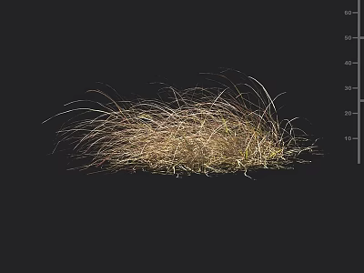 Natural Dried Grass Cluster With Wispy Light Brown Blades And Fine Texture 3d model