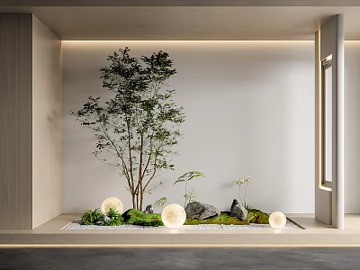 Minimalist Modern Indoor Landscape With a Tree White Walls Moss Stones And Round Lamps 3d model