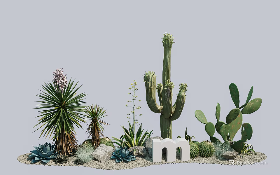 Potted Cactus Agave And Succulent Plants With Small White Arch Decoration And Stones 3d model 