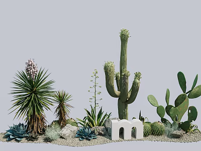 Potted Cactus Agave And Succulent Plants With Small White Arch Decoration And Stones 3d model