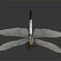 Dragonfly With Transparent Wings Yellow Head And Black White Body On Gray Background