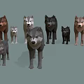 Low Poly Style Various Colored Wolves Standing Together in Group 3d model