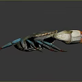 Vibrant Blue Legged Crab With Green Body And Orange Claws On Dark Background
