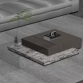 Modern Glass Top Coffee Table With Green Plant Books Tray And Blanket