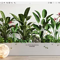 Bonsai Potted Plants Featuring Large Green Leaves and Red Flowers in White Rectangular Planter