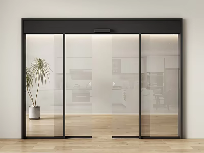Sliding Glass Doors With Black Frame Transparent Glass In Modern Kitchen Potted Plant Wooden Floor 3d model