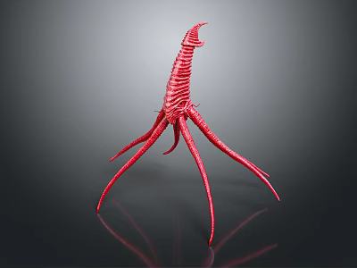 Red Animal With Long Thin Legs Curved Segmented Body And Reflection On Dark Background 3d model