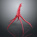 Red Animal With Long Thin Legs Curved Segmented Body And Reflection On Dark Background
