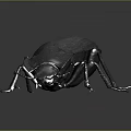 Dark Colored Beetle With Hard Carapace And Long Legs On Gray Background 3d model