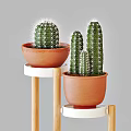 Multi tiered Wooden Plant Stand With Potted Cactus Plants And Green Watering Can