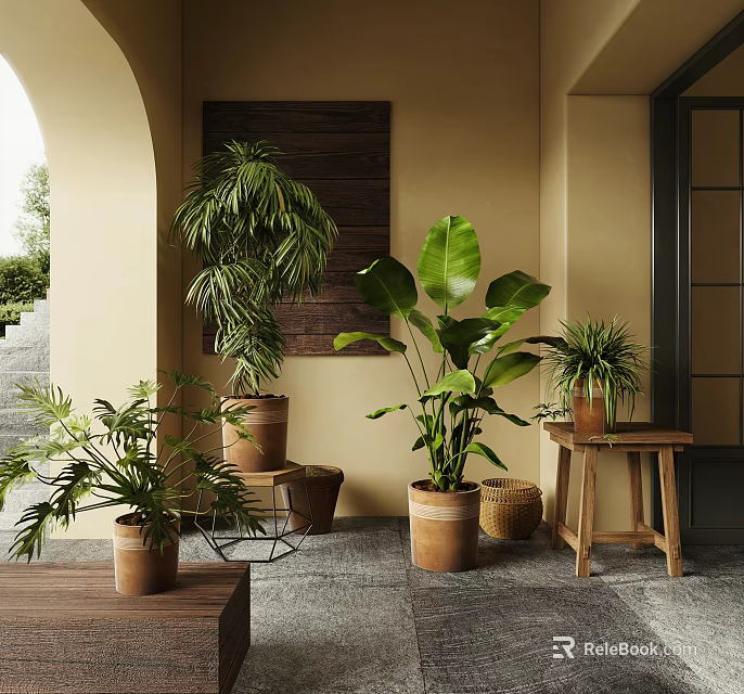 Potted Plants With Large Leaves Small Greens In Terracotta Pots On Wooden Stools Indoor Corner 3d model 