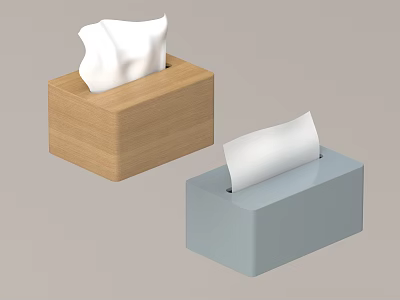 Two Simple Tissue Boxes in Wooden and Blue Colors with Extracted Tissues for Home Use 3d model