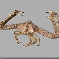Deep Sea Crab With Large Spiky Claws And Textured Body On Dark Background With Reflection