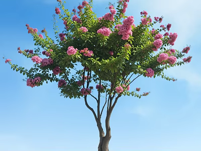 Beautiful Tree With Pink Flowers And Green Leaves Against Clear Blue Sky 3d model