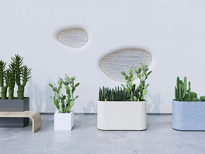 Indoor Potted Plants Display With Succulents Cacti And Modern Wall Decor 3d model