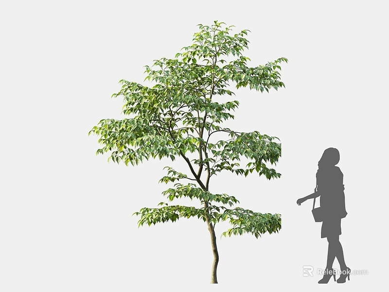Lush Green Arbor With Dense Foliage And Silhouette Of A Woman Standing Next To 3d model 