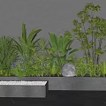 Modern Indoor Green Plant Combination With Concrete Planter And Round Light