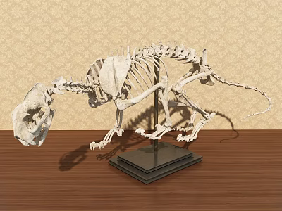Animal Skeleton Decorative Ornament Set with Metal Stand on Wooden Tabletop Patterned Wallpaper Background 3d model