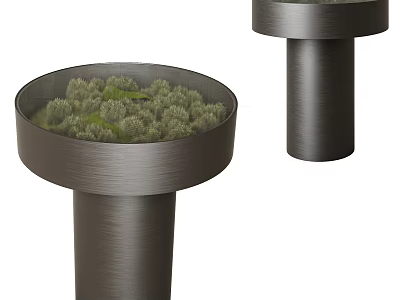 Modern Round Top Coffee Table With Cylindrical Base And Green Plants Inside 3d model