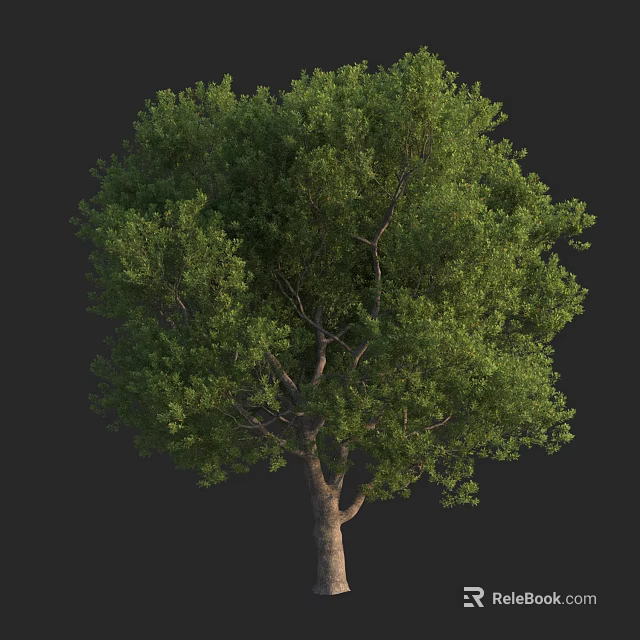 Lush Green Arbor With Dense Foliage And Strong Trunk In Natural Scene 3d model 