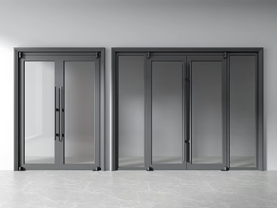 Modern Interior Glass Doors With Black Frame Double And Sliding Styles 3d model