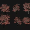 Red Leaf Arbor Trees In Different Shapes Displayed On Black Background 3d model