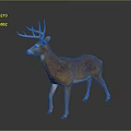 Realistic Standing Buck Deer Model With Brown White Coat And Large Antlers On Dark Background