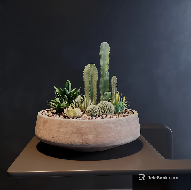 Diverse Cactus and Succulent Bonsai Potted Plant in Light Brown Ceramic Pot on Dark Table 3d model 