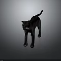 Black Panther Standing Majestically On Gray Background With Soft Studio Lighting 3d model